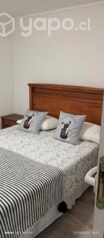 Departamento amoblado de marzo a diciembre