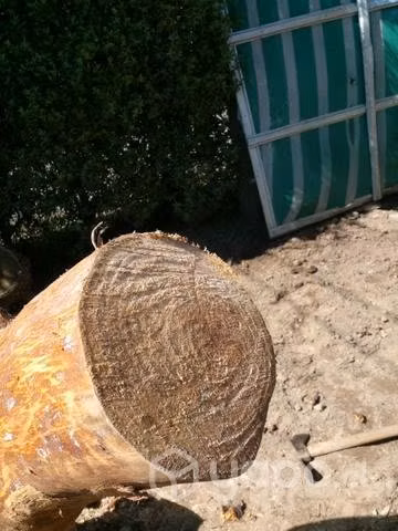 Talladores