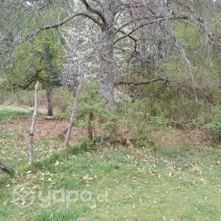 Terreno en Panguipulli