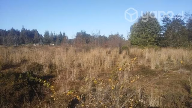 Parcela en el sur de chile