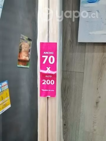 Celosias nuevas