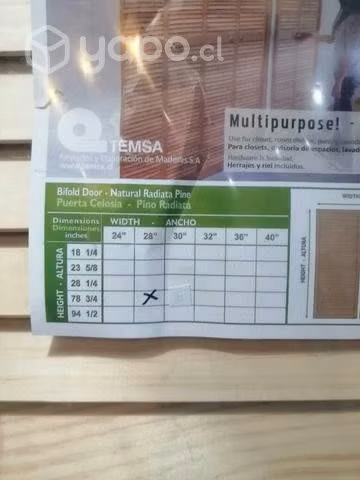 Celosias nuevas