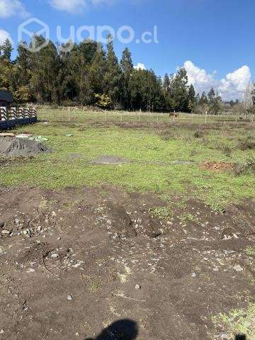 Venta Sitio Unihue, Valle Chanco , Hualqui - Imagen 5