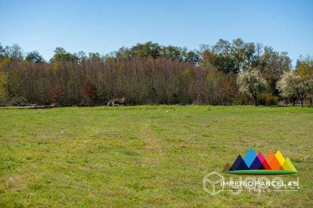 Parcelas 5000m2 en VILLARICA - Imagen 5