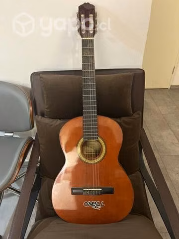 Guitarra + funda