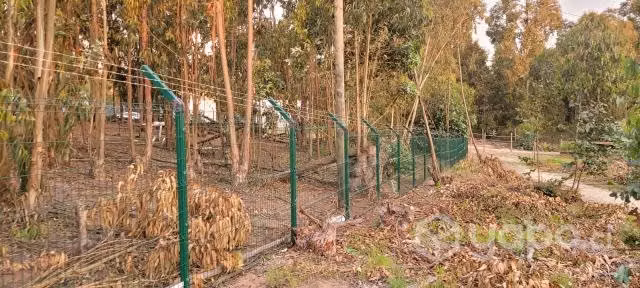 Parcela de agrado