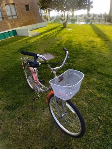 Bicicleta frontier 2432