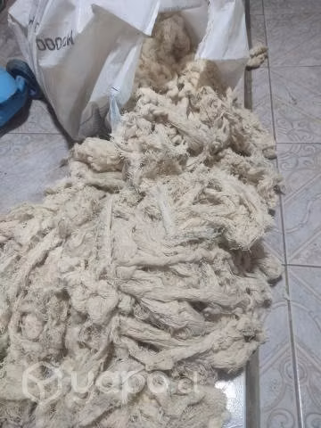 Huaipe por mayor y menor