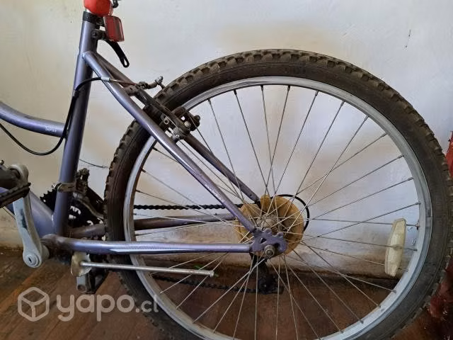 Bicicleta