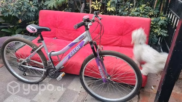 2 bicicletas trek y caloi usadas