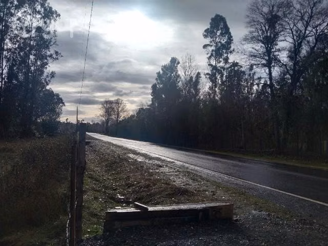 Terreno Chileno 1 hectárea, 50 millones,