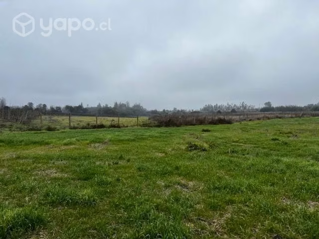 Terreno sector Quinchamalí - Imagen 4