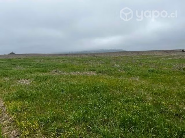 Terreno sector Quinchamalí