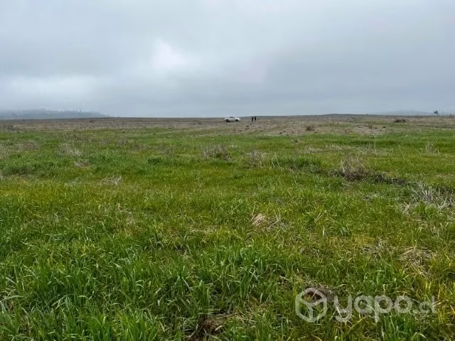 Terreno sector Quinchamalí - Imagen 2