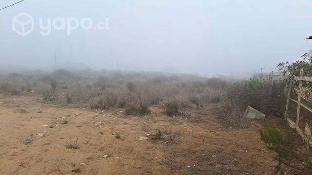 Parcela panul - Imagen 2