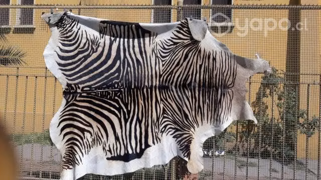 Alfombra cuero 100 % 4m2. animal print