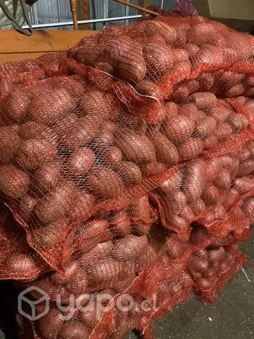 PAPAS RODEO( lago ranco papas seleccionada)