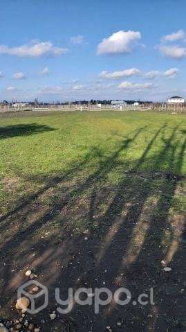 Parcela de 5.000 m2 con pozo y Luz - Imagen 9