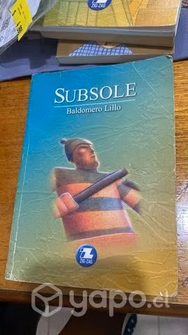 Libro Subsole