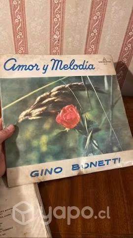 Discos de vinilos para colección o decoración