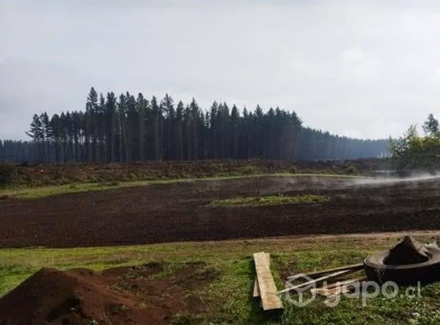 Parcela con casa 1,5 hectáreas (terreno indigena)