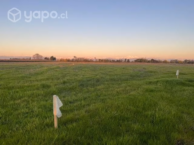 Parcelas 5000 M2 camino a Cato km 12, Chillan - Imagen 5