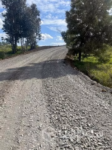 Parcelas 5000 M2 camino a Cato km 12, Chillan - Imagen 4