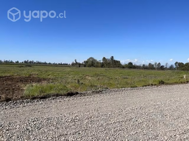 Parcelas 5000 M2 camino a Cato km 12, Chillan - Imagen 7