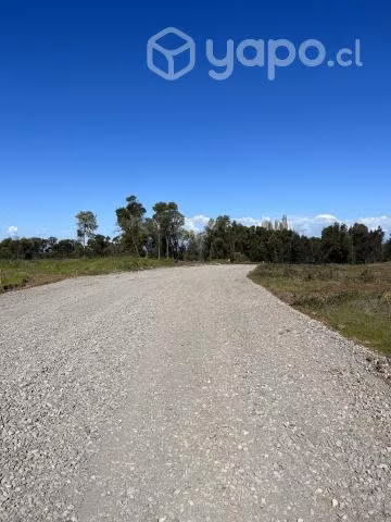 Parcelas 5000 M2 camino a Cato km 12, Chillan - Imagen 6