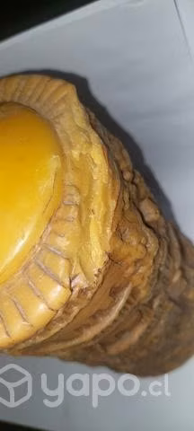 Vela con hermoso detalles - Imagen 4