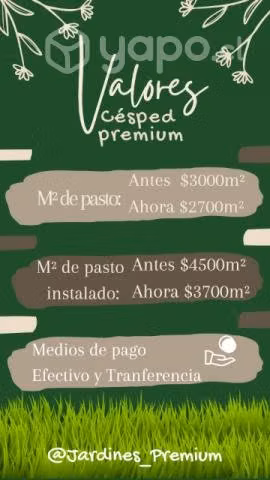 Césped en rollo premium natural