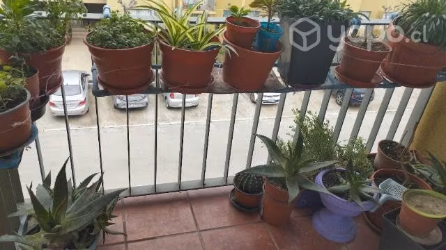 Departamento 3 dor,en condominio