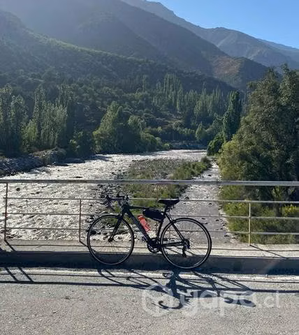 Bicicleta pistera avalanche