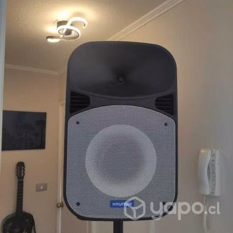 Parlante hyundai blast 12 80 watts