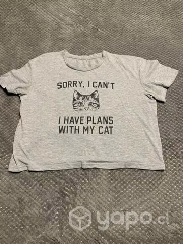 Ropa de gato