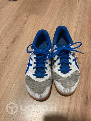Zapatillas volley
