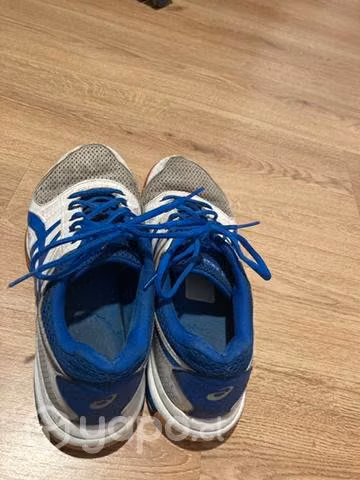 Zapatillas volley
