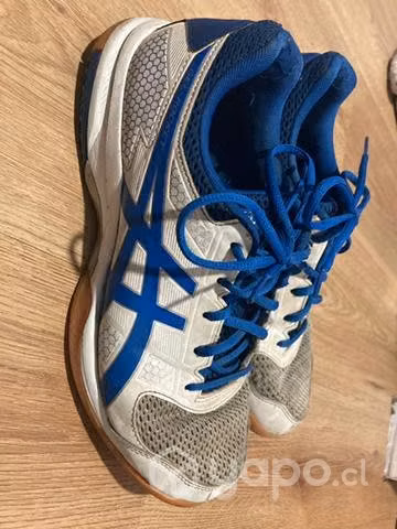 Zapatillas volley