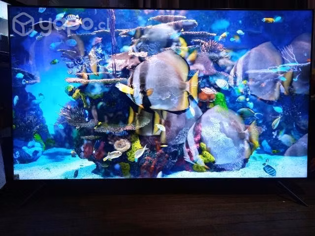 TV Samsung 70 '' 4K