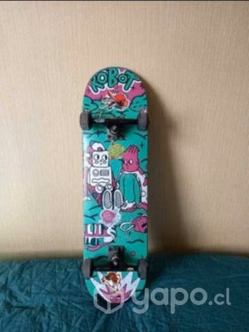 Skate 4 meses de uso