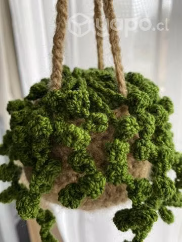 Plantas colgantes