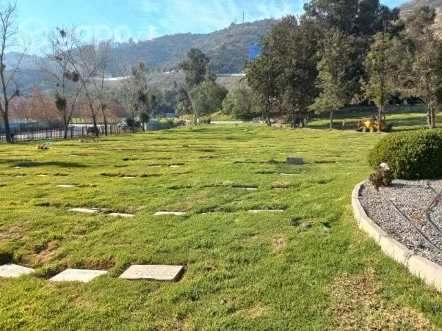 Terreno cementerio - Imagen 2