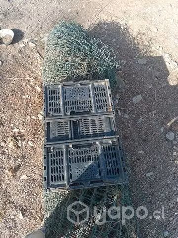 Cajas para tranpotar frutas se desarman