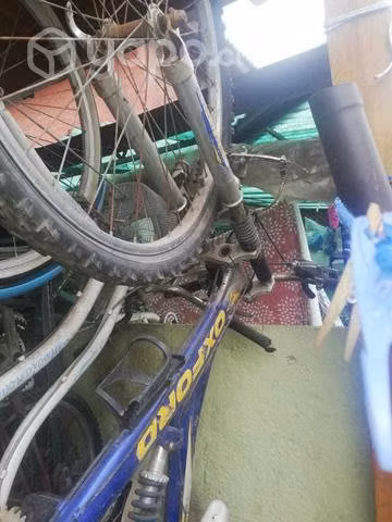 Bicicleta oxford - Imagen 2