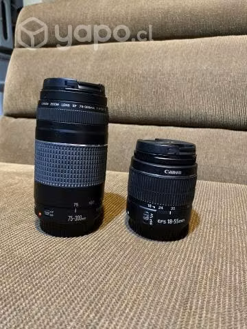Canon rebel t6