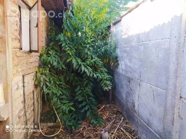 Casa que cuenta con una fábrica de pan y sala - Imagen 7