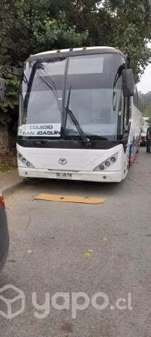 Bus youngman