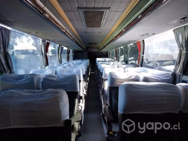 Bus youngman