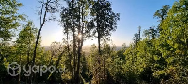 Ecoparcela de bosque nativo de 3 hectareas