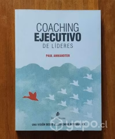 Coaching ejecutivo de líderes - Paul Anwandter